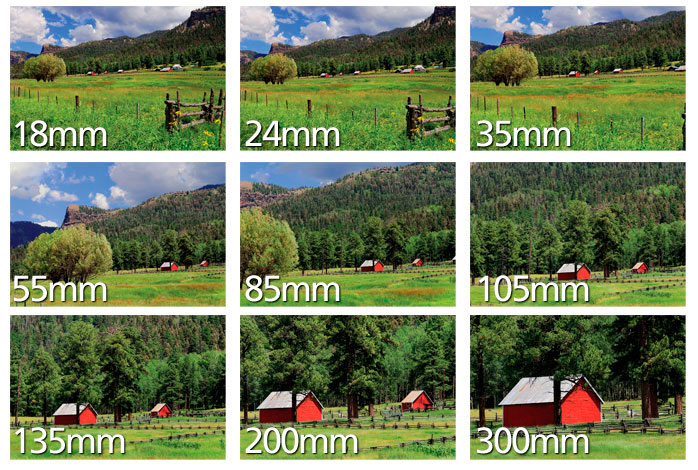 Understanding DSLR Lenses Campbell Cameras InFOCUS Blog Campbell 