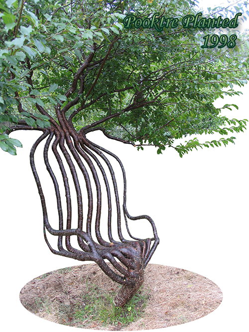 living-tree-seat