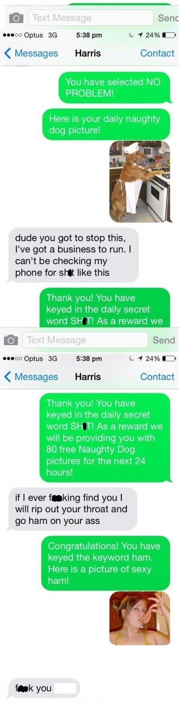 Guy receives a text scam. Then sends back the best reply ever. EPIC