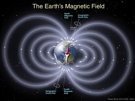 Earth Torus