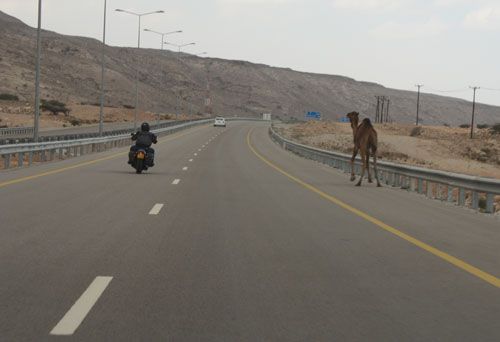 in laden no turban there is. This is my hubby riding his