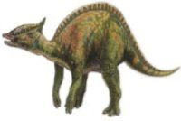 dinosaur with horn behind head