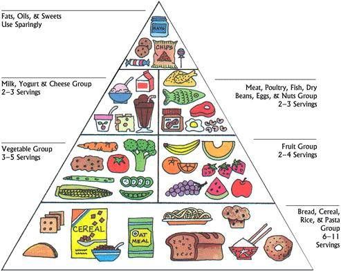 healthy food pyramid for adults. Adults are free to make their