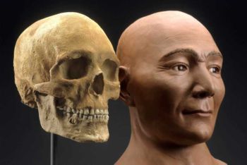 Facial Reconstruction From Skull 37