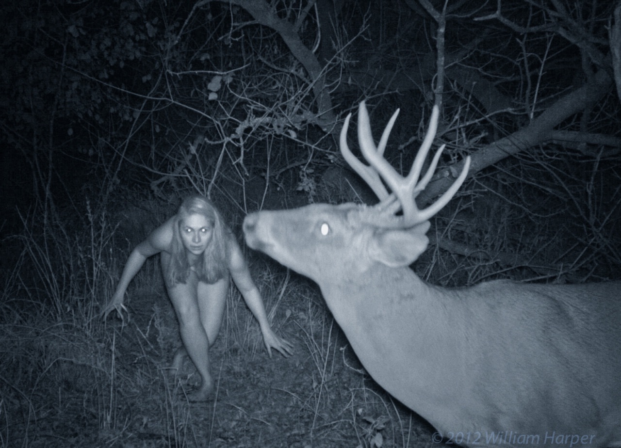 IAMTAT. in this one? the other trail cam thread. 