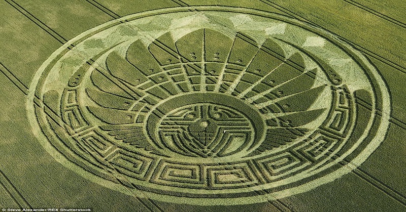 Very Interesting Crop Circles 2017, page 1 Famous Crop Circle